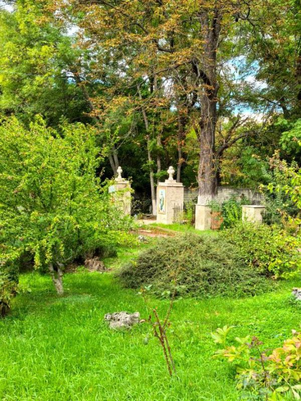 ������ ���� ������������� ��������� ��������: �������� ���������� � ����� �����������