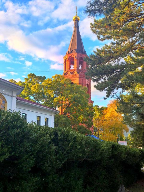 ������ ���� ������������� ��������� ��������: �������� ���������� � ����� �����������