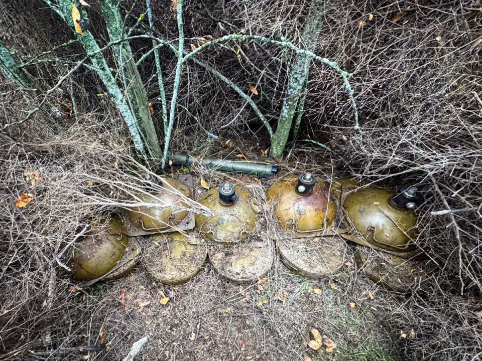 ������������ ���������� ������ � ����������� ������� � ���������� �������