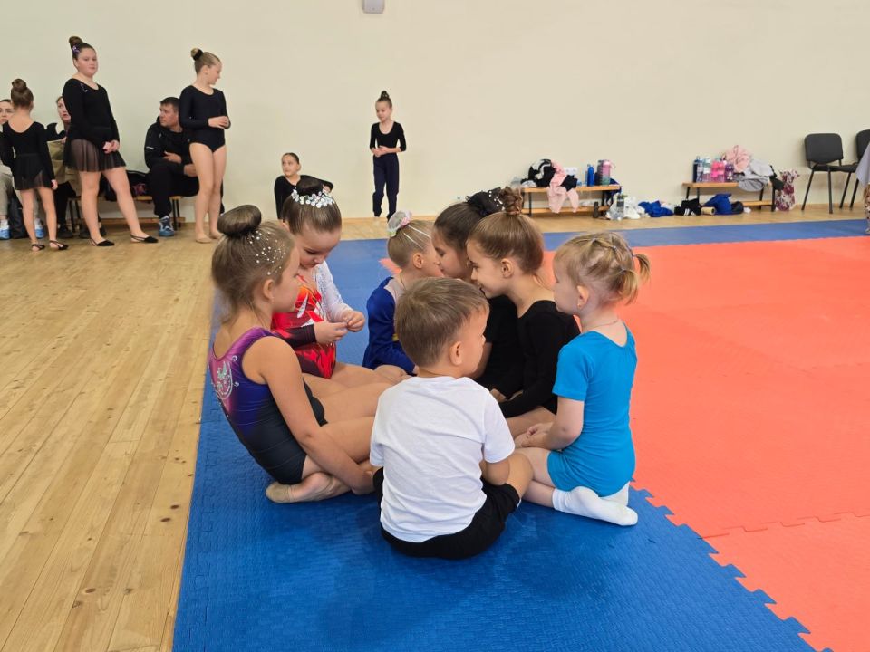 Генические спортсмены блестяще выступили на Открытых первенствах Генического округа Генические спортсмены блестяще выступили на Открытых первенствах Генического округа