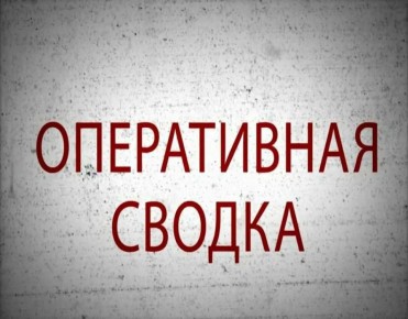  :    13.10.2025  19.10.2025          118 