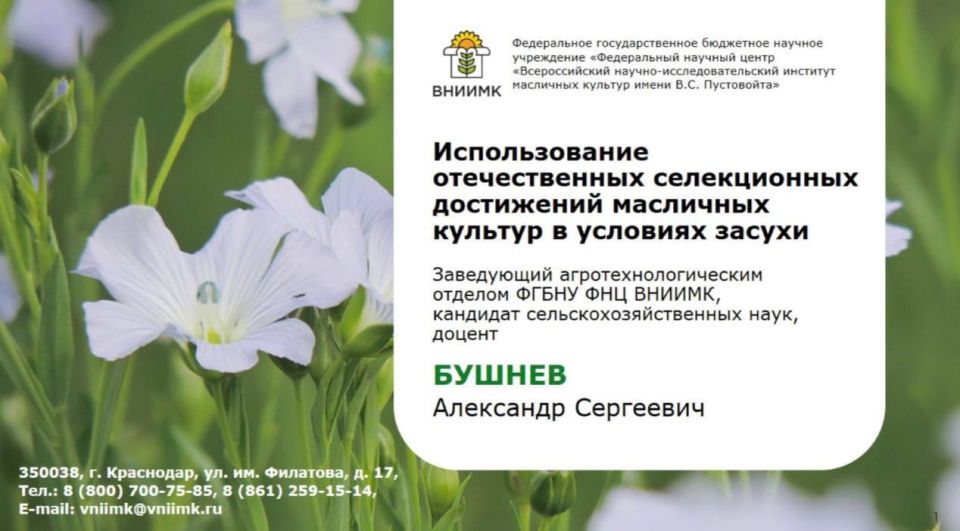 ���� ��������: ������������� ������������� ������������ ���������� ��������� ������� � �������� ������