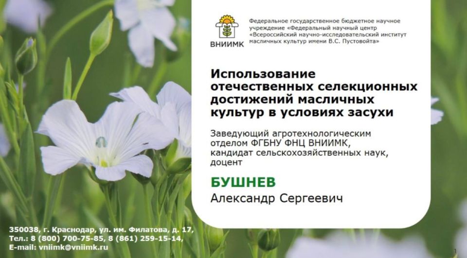 �����-�����: ����������� � ���� � ����������