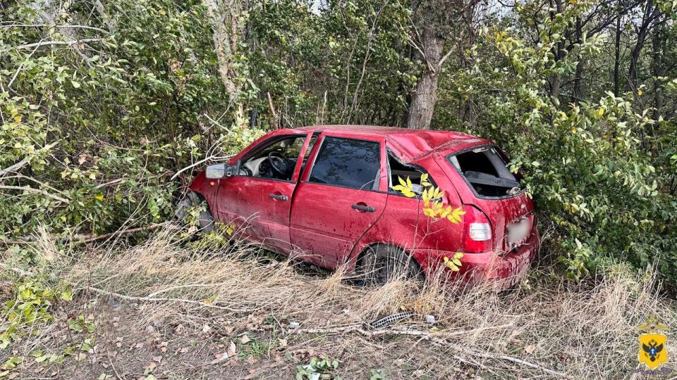 � ���������� ������ ����������� ������������� �������������� ��� � ������������