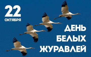 Сегодня, 22 октября, во всем мире отмечается светлый праздник - День белых журавлей