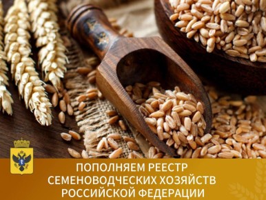 В Российской Федерации на 1 октября 2025 года зарегистрировано 815 семеноводческих хозяйств, 8 из которых сертифицированы в Херсонской области за период с мая по август 2025 года