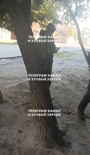 &quot;        