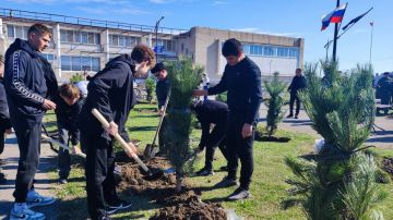 В Круглоозерке высадили Аллею казачьей славы