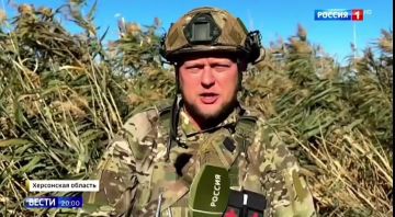 Енот из Херсона: Херсон о. Карантинный. На федеральных СМИ обобщили и подытожили актуальную информацию по десантной операции на острове