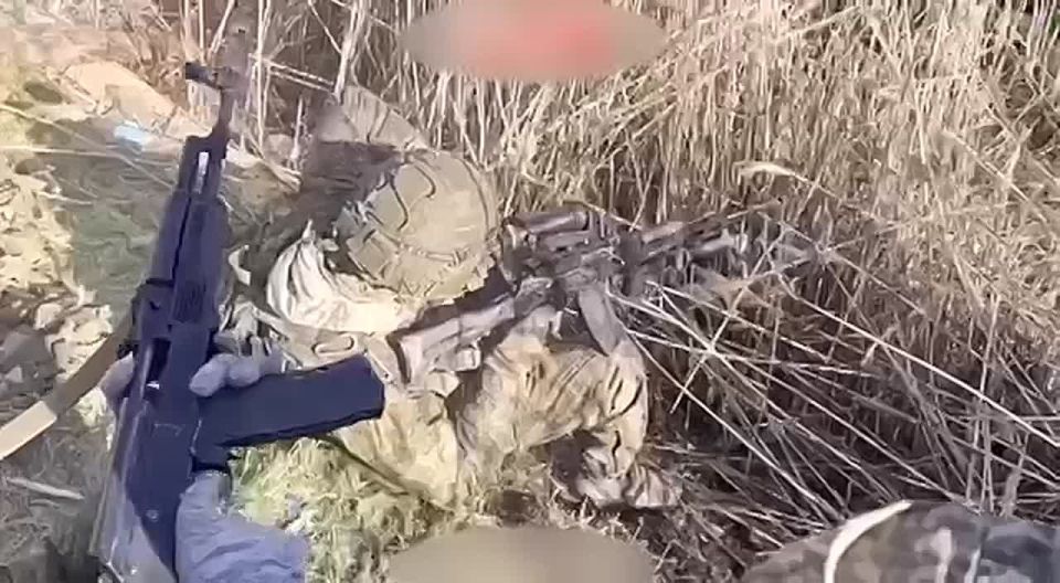 ������� �����: ����� ������� ������� ����������� � �������