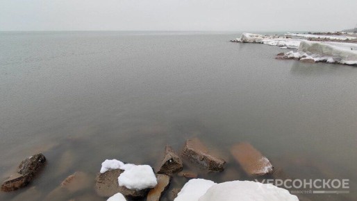 Россия может возобновить коммерческий вылов осетров в Азовском море