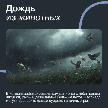 Мир не просто удивителен — он буквально ломает наши представления о возможном