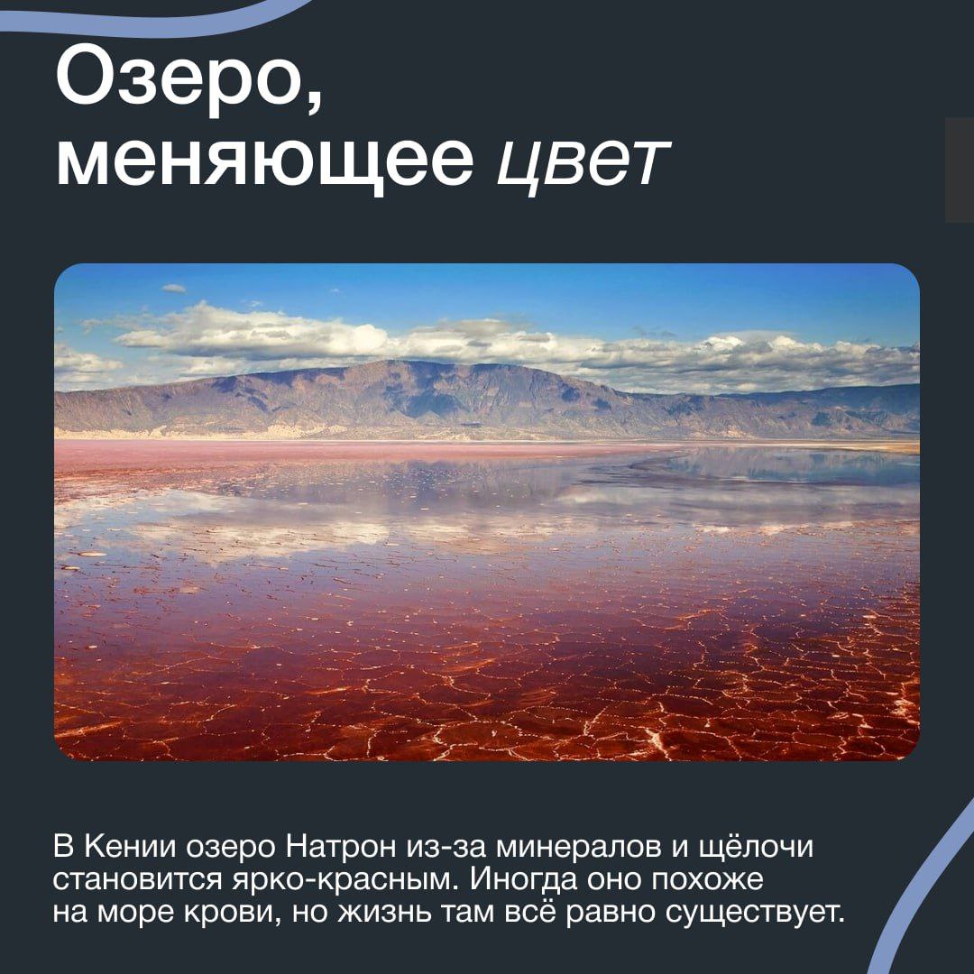 Мир не просто удивителен — он буквально ломает наши представления о возможном Мир не просто удивителен — он буквально ломает наши представления о возможном