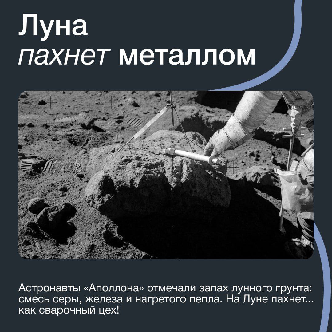 Мир не просто удивителен — он буквально ломает наши представления о возможном Мир не просто удивителен — он буквально ломает наши представления о возможном