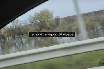 Дамбу Белгородского водохранилища прорвало после нового украинского удара, пишут местные паблики