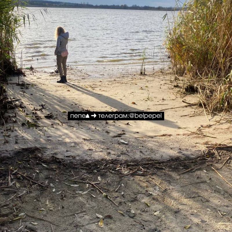 Дамбу Белгородского водохранилища прорвало после нового украинского удара, пишут местные паблики Дамбу Белгородского водохранилища прорвало после нового украинского удара, пишут местные паблики