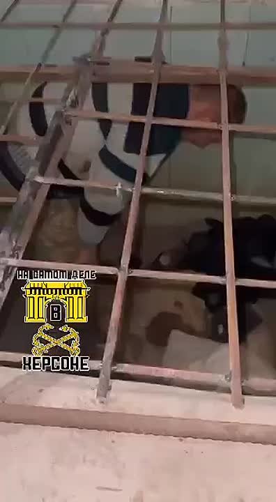 На Украине процветает беспредел! В 95-й одшбр у женщин стали требовать выкуп за их мужей!