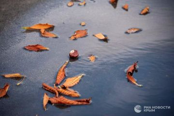 Погода на новых территориях России