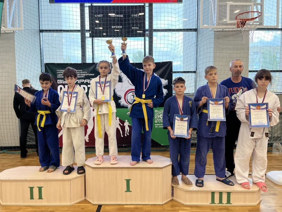 ������ ����������� �����������: ���������� ��������� ��������� ����������