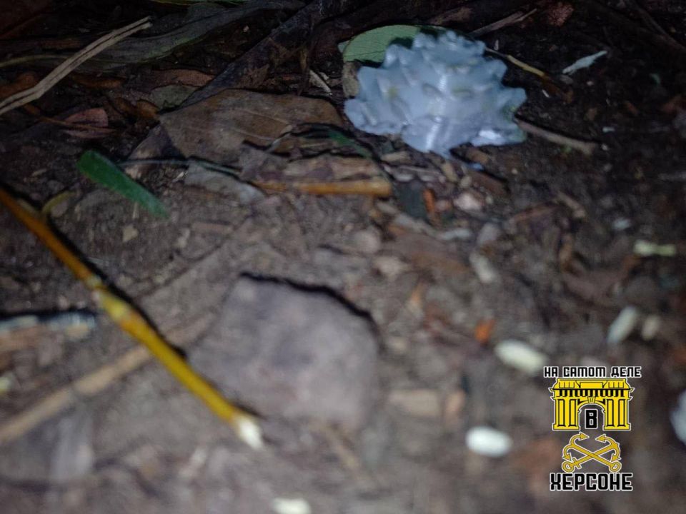 ВСУ целенаправленно создают опасность для гражданского населения ВСУ целенаправленно создают опасность для гражданского населения