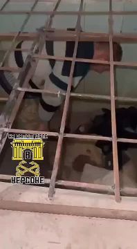 На Украине процветает беспредел! В 95-й одшбр у женщин стали требовать выкуп за их мужей!