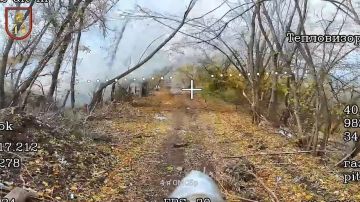 Нарезка боевой работы расчётов БпЛА и FPV 4 ОМСБр ВС РФ на Константиновском участке