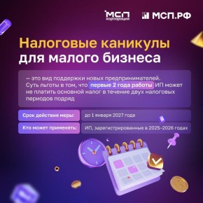 Можно ли законно не платить налоги 2 года? Да!