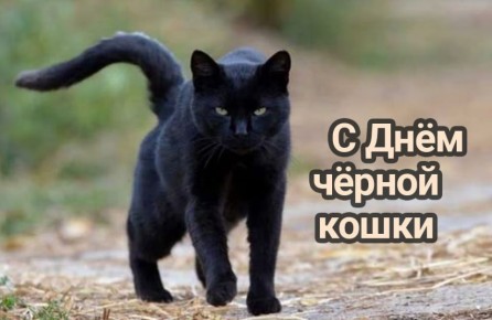 Сегодня 27 октября – отмечается 12 праздников