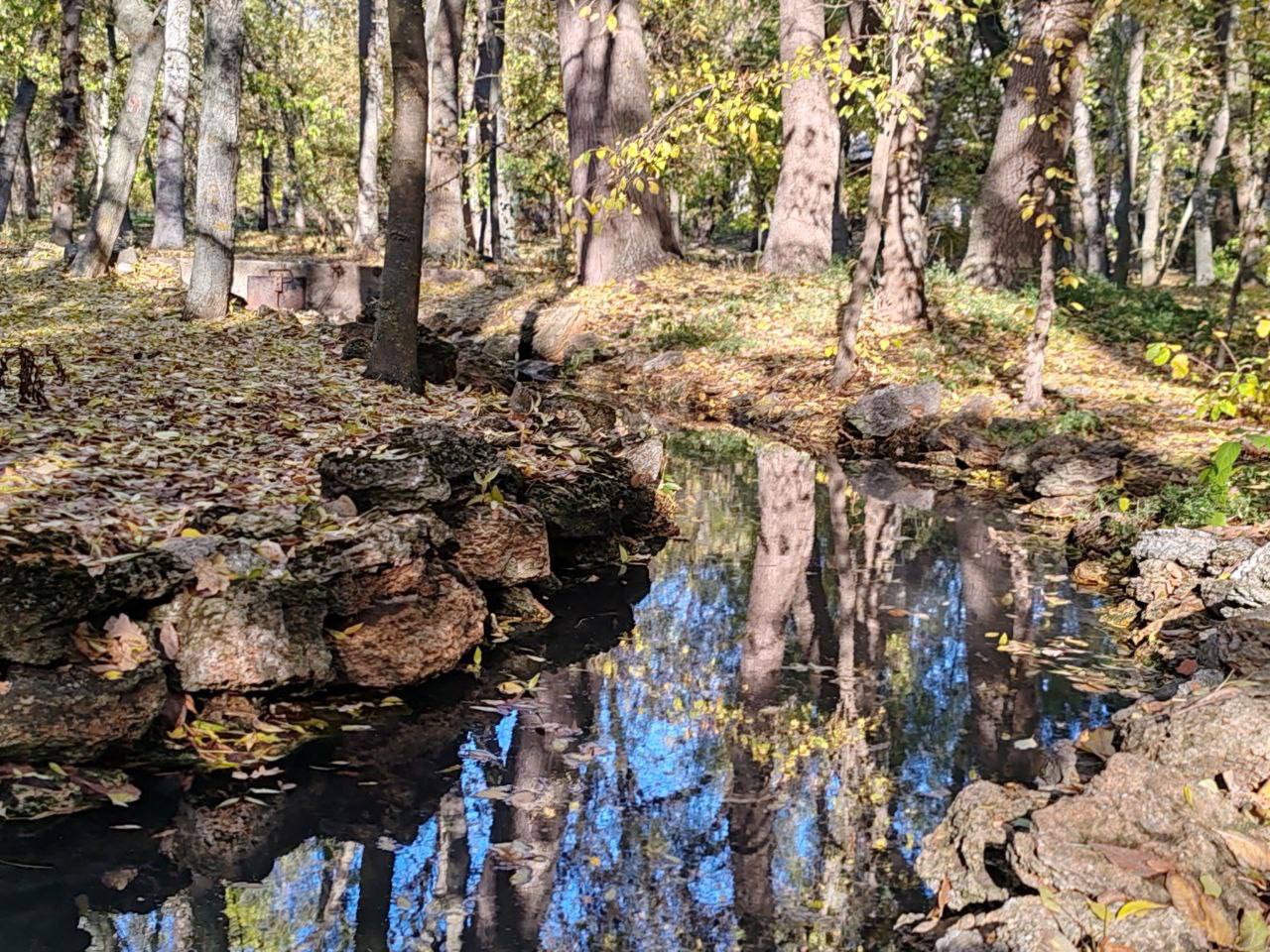 В самом сердце нашей любимой Херсонской степи раскинулся удивительный уголок дикой природы — заповедник «Аскания-Нова» В самом сердце нашей любимой Херсонской степи раскинулся удивительный уголок дикой природы — заповедник «Аскания-Нова»