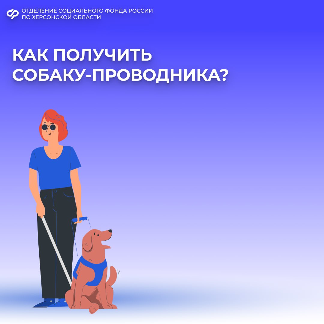 Собака-поводырь от СФР: помощник и друг