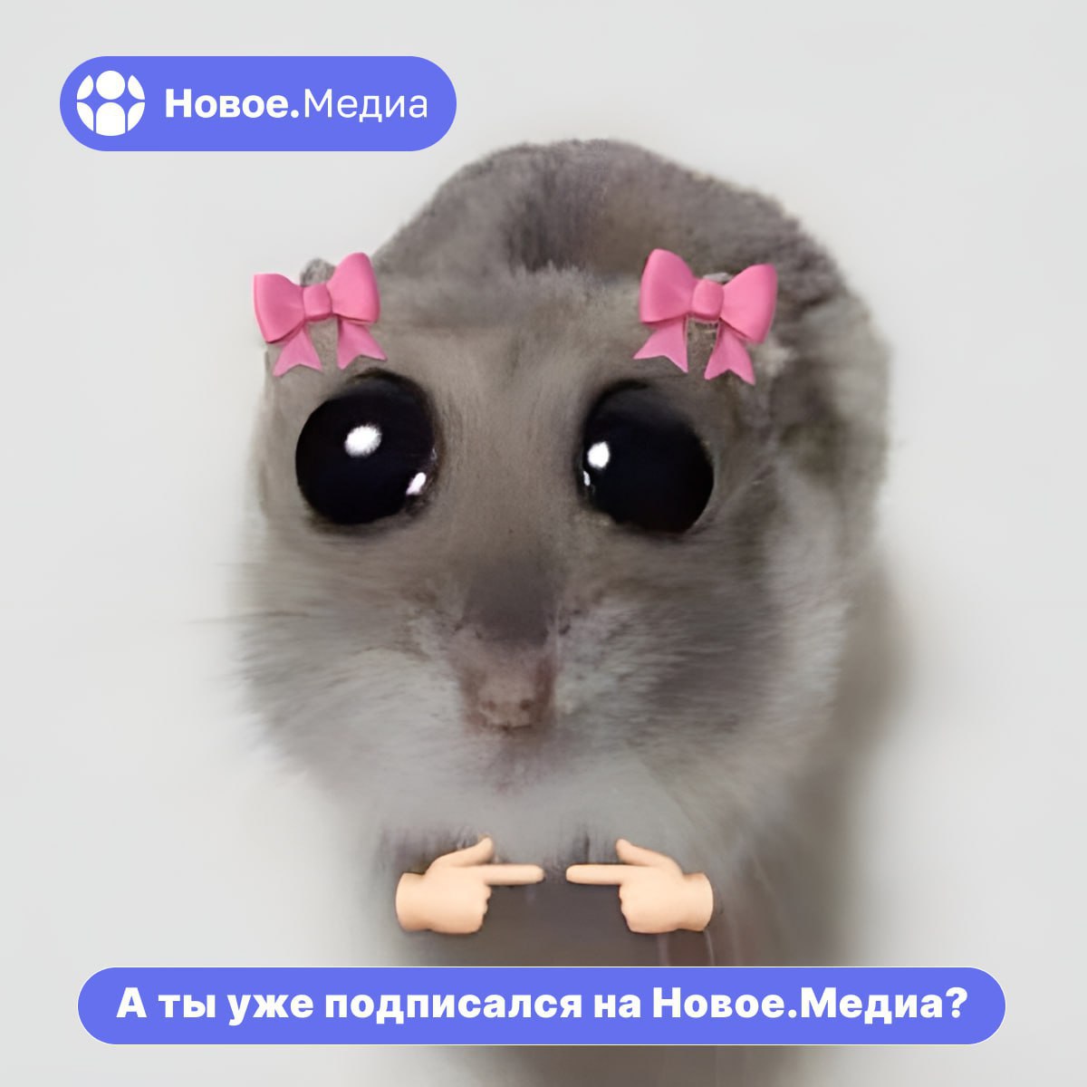 Вы знаете, что вас очень ждут? Подпишитесь на Новое.Медиа в Херсонщине — специально для вас здесь собрали все самые важные новости, интересные комментарии и честные истории