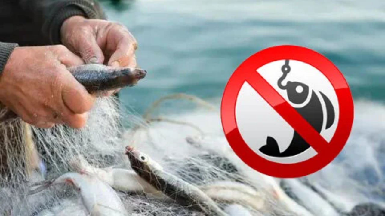 Вниманию жителей Генического муниципального округа!