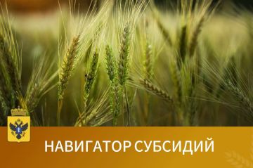 Закрепляем перечень действующих субсидий Херсонской области: