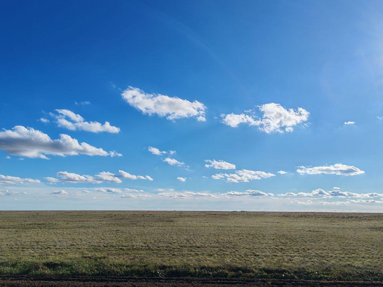 В самом сердце нашей любимой Херсонской степи раскинулся удивительный уголок дикой природы — заповедник «Аскания-Нова» В самом сердце нашей любимой Херсонской степи раскинулся удивительный уголок дикой природы — заповедник «Аскания-Нова»