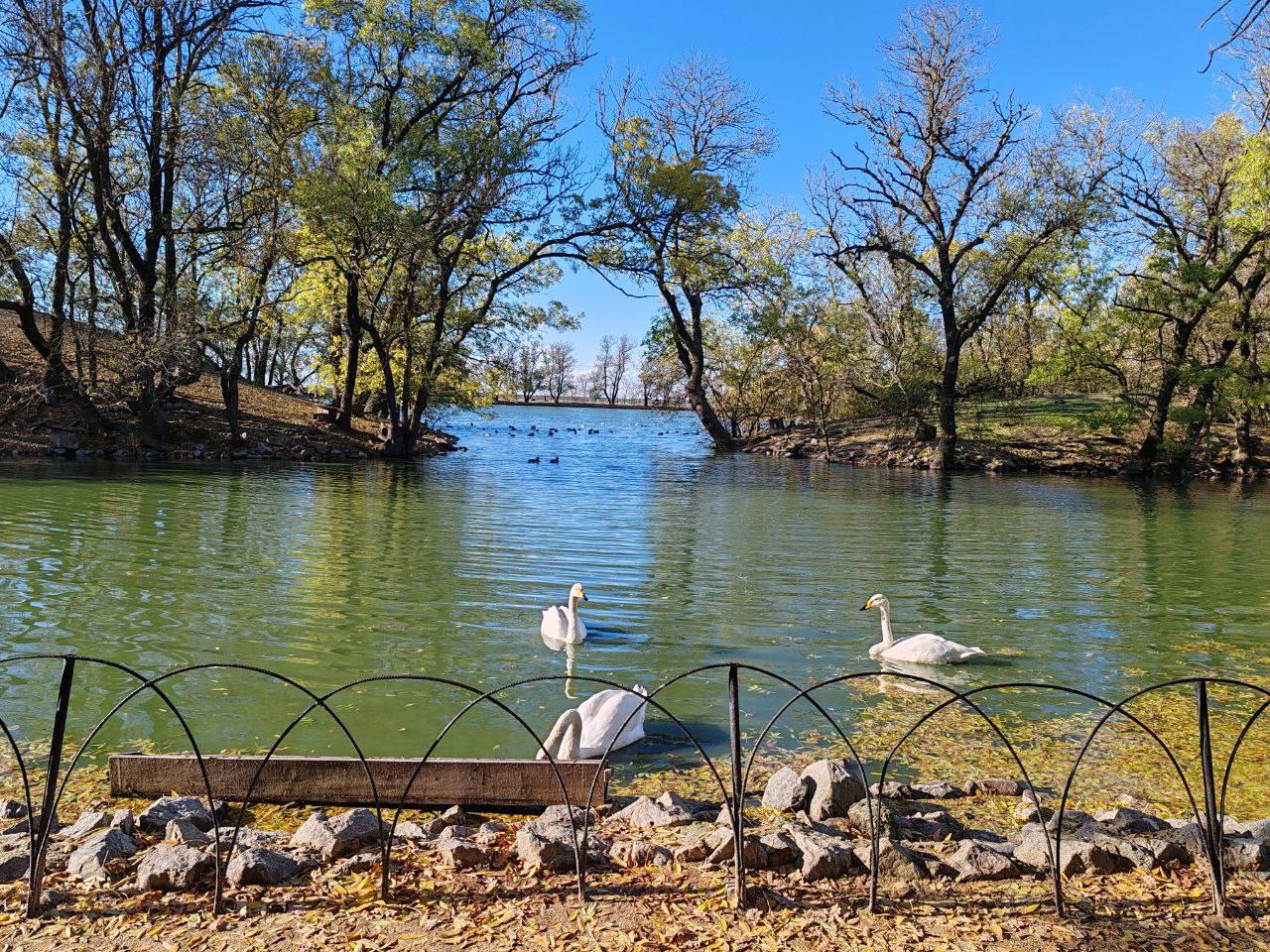 В самом сердце нашей любимой Херсонской степи раскинулся удивительный уголок дикой природы — заповедник «Аскания-Нова» В самом сердце нашей любимой Херсонской степи раскинулся удивительный уголок дикой природы — заповедник «Аскания-Нова»