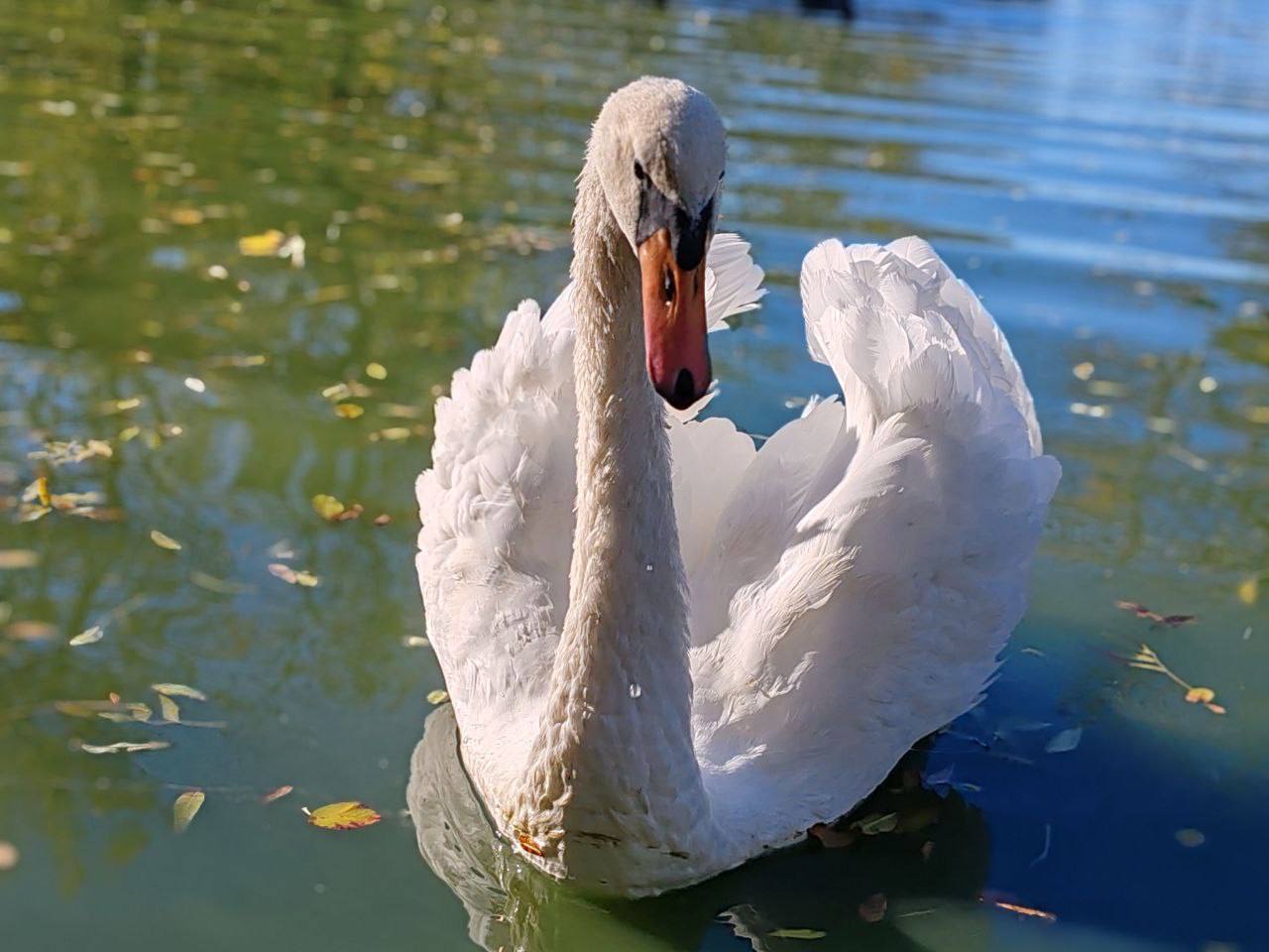 В самом сердце нашей любимой Херсонской степи раскинулся удивительный уголок дикой природы — заповедник «Аскания-Нова» В самом сердце нашей любимой Херсонской степи раскинулся удивительный уголок дикой природы — заповедник «Аскания-Нова»