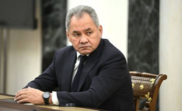 Путин поддержал идею добровольческих формирований для защиты опасных объектов