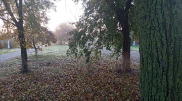 Неважно, солнечное утро или нет, главное — оно наступило