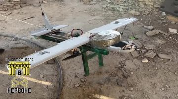 Четко, профессионально и без шансов для противника