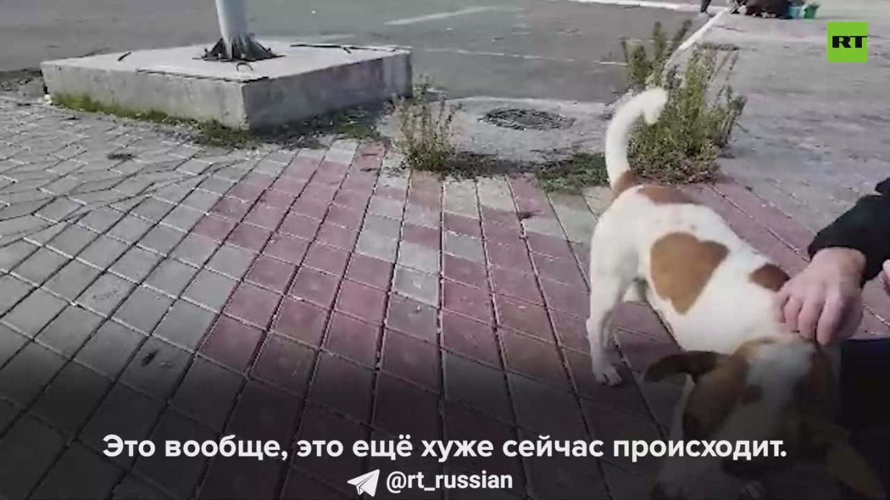 «Дети страдают, бабушки страдают, головы женщинам разрывают. Женщины вообще тут при чём?»