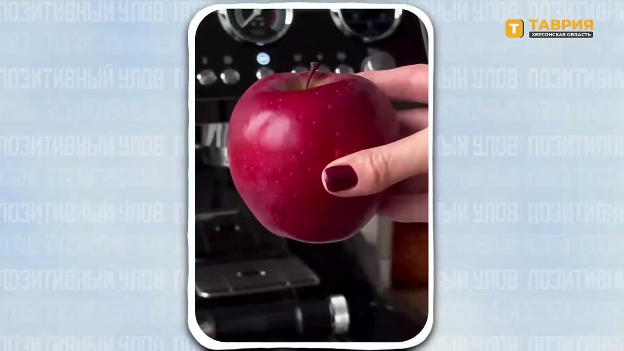 "Позитивный улов" — дайджест удивительных новостей со всего мира