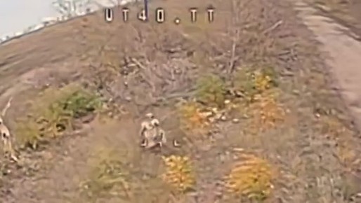 Не Гарри Поттер. Телеграм-канал Херсонский Вестник