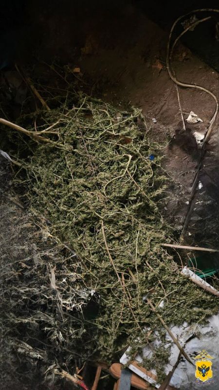 Полицейские изъяли у жителя Алешкинского почти полкилограмма растительного наркотика