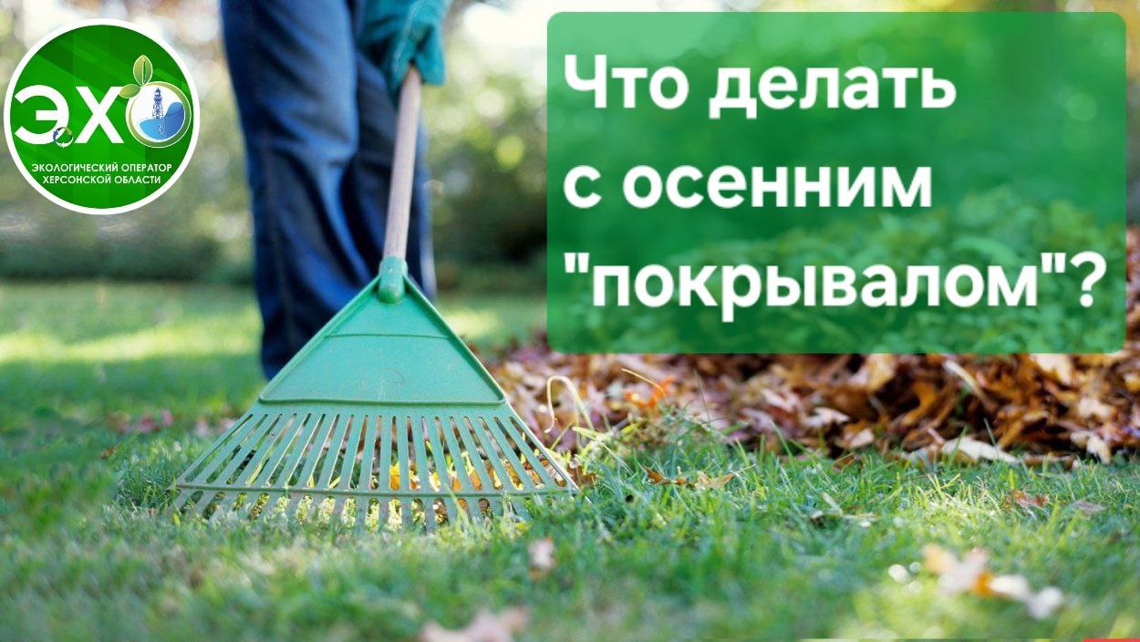 С наступлением осенилюди сталкиваются с проблемой — что делать с опавшими листьями? Ведь выбрасывать их в контейнера категорически запрещено