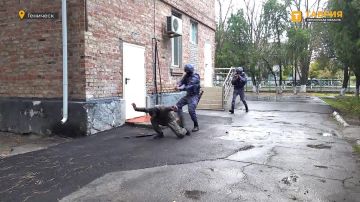 В Геническе ко Дню вневедомственной охраны Росгвардии прошли антитеррористические учения