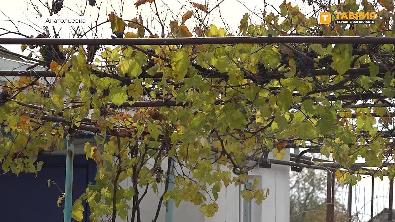 Благотворительный фонд "Добрый ангел" доставил партию гуманитарной помощи в Нижнесерогозский округ