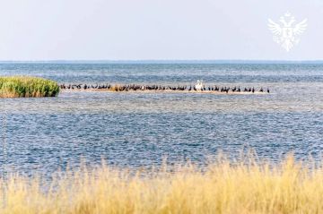 Черноморский заповедник усилил безопасность с помощью детектора дронов