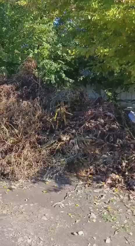 Актуальная информация о работах по благоустройству в Геническом округе