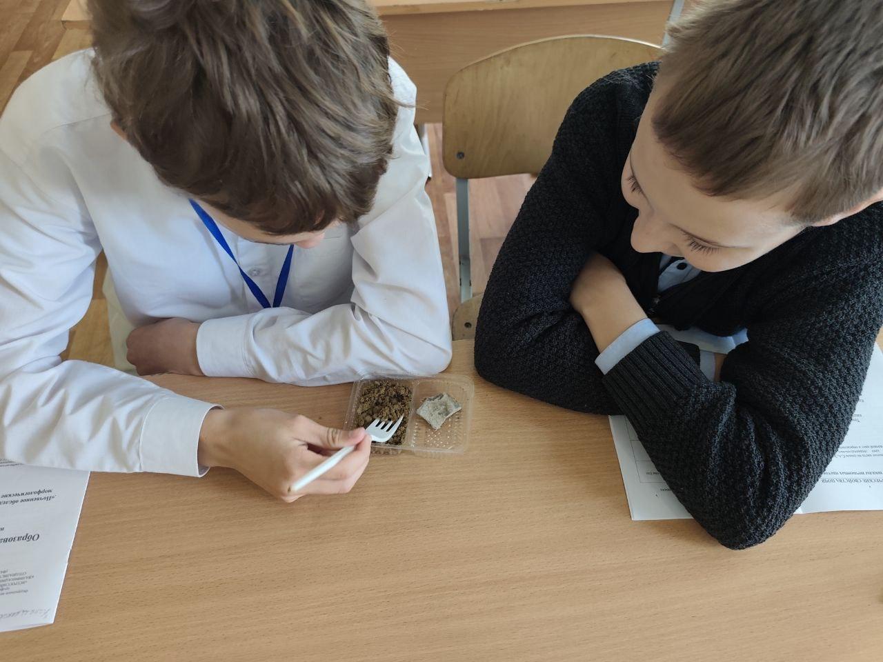 Юные лесничие изучают почвы заповедных территорий Юные лесничие изучают почвы заповедных территорий