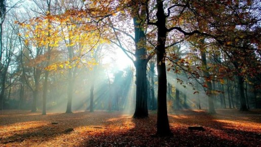 Нам Церковь школа и больница, В ней лечат Души у Людей. Свеча горит